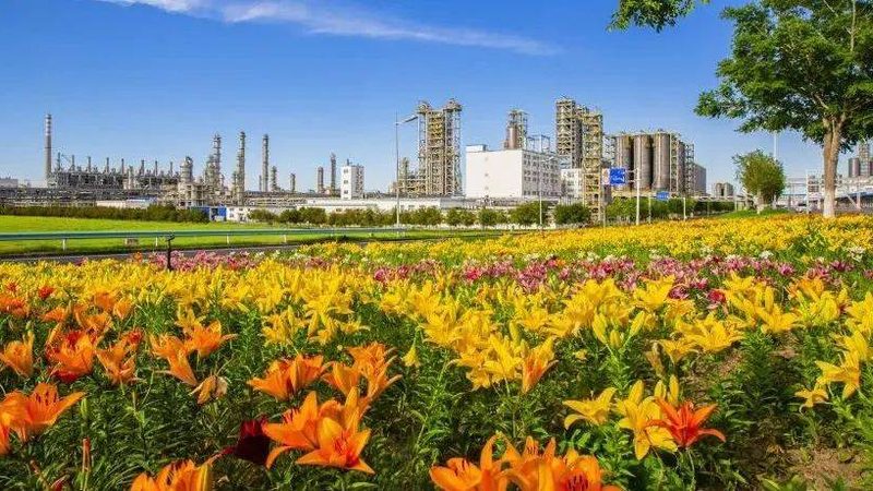 成都化工原料检测标准，揭秘合规之路